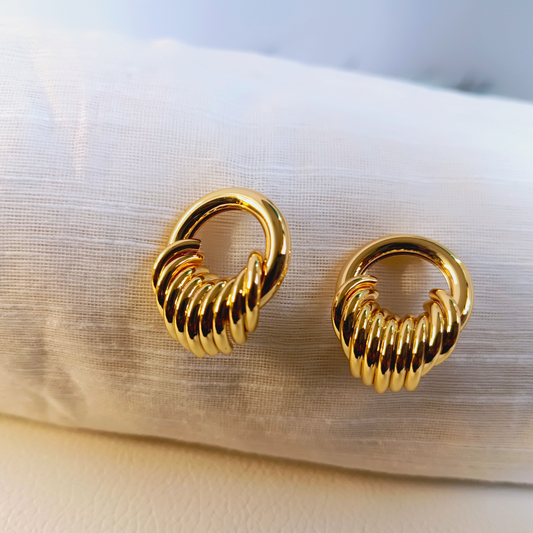 Rings of delight earrings