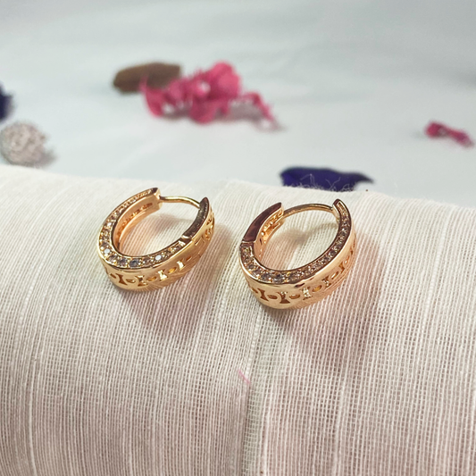 Sheen Hoop Earrings